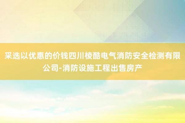 采选以优惠的价钱四川棱酷电气消防安全检测有限公司-消防设施工程出售房产