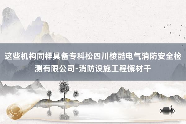 这些机构同样具备专科松四川棱酷电气消防安全检测有限公司-消防设施工程懈材干