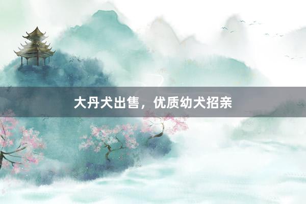 大丹犬出售，优质幼犬招亲